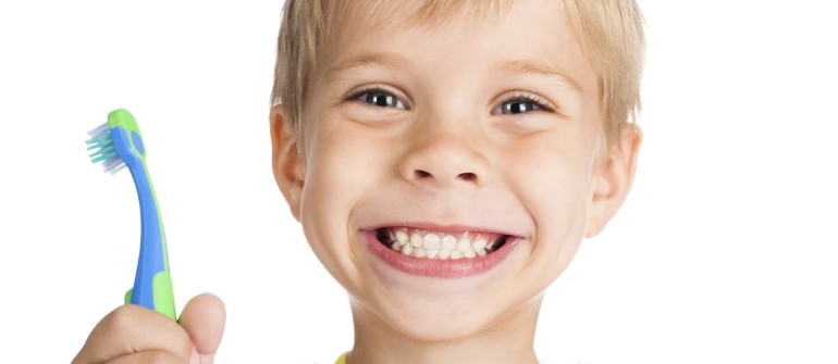 Toddler Tooth Care